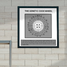 Rueda del código genético