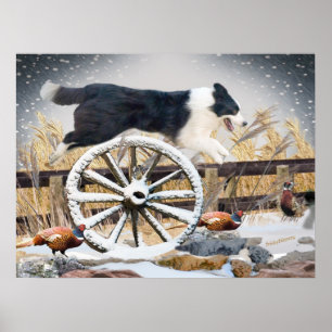 Póster Rueda del vagón de salto del borde de Collie