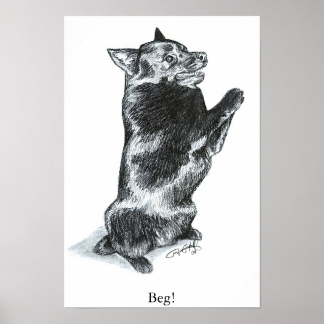 Póster ¡Ruego! (Frente)