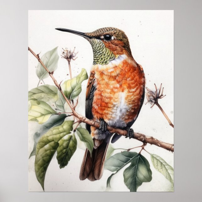 Póster Rufous Hummingbird Bird Art Print Poster (Frente)