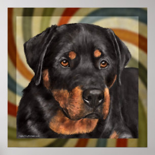 Póster ruger