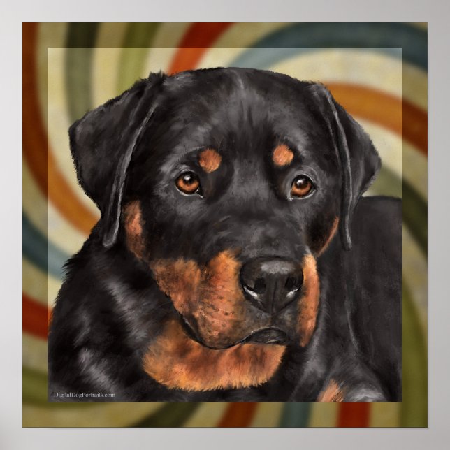 Póster ruger (Frente)