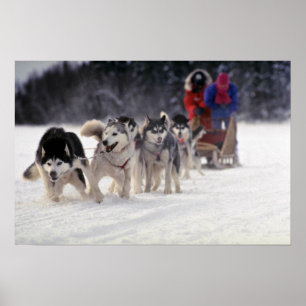 Póster Ruido de fondo