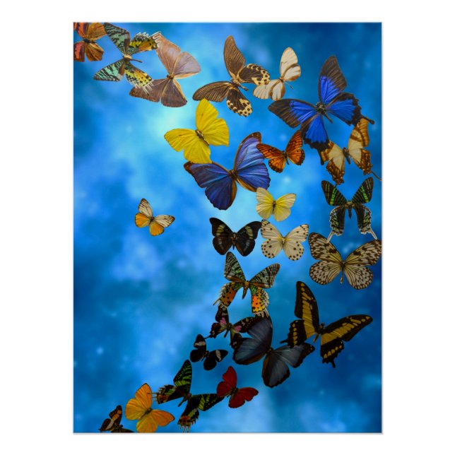 Póster Ruina (Anverso)