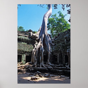 Póster Ruina de Ta Prohm - Angkor Wat, Camboya, Asia