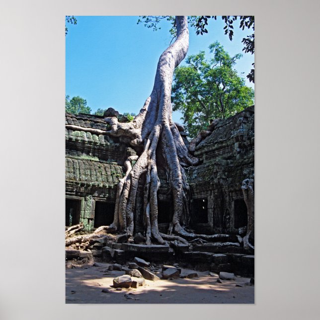 Póster Ruina de Ta Prohm - Angkor Wat, Camboya, Asia (Frente)