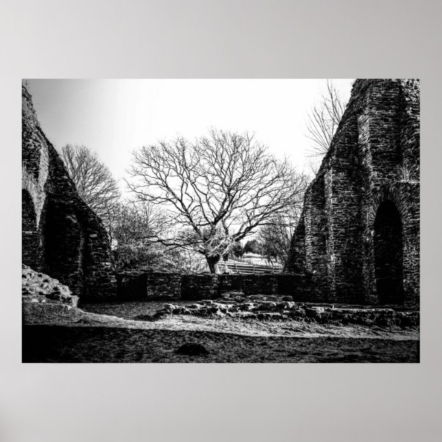 Póster Ruinas (Frente)