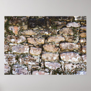 Póster Ruinas Mayas Pared