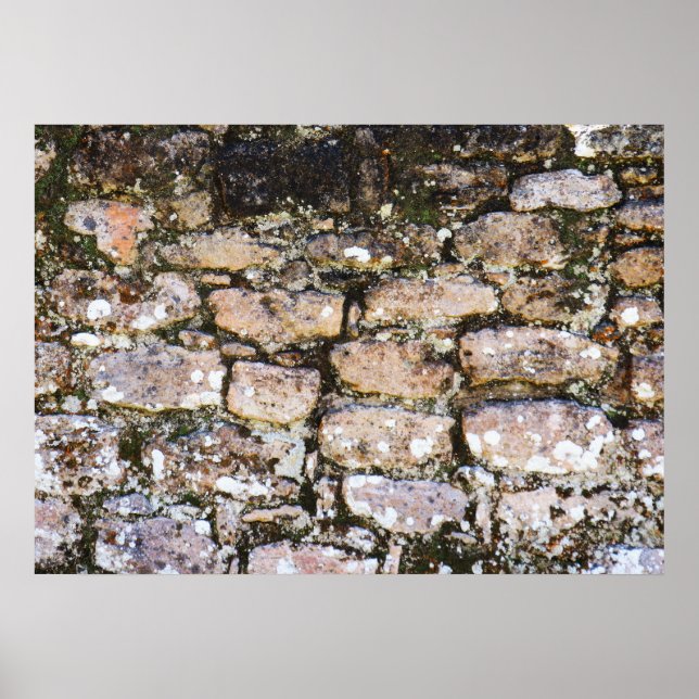 Póster Ruinas Mayas Pared  (Frente)