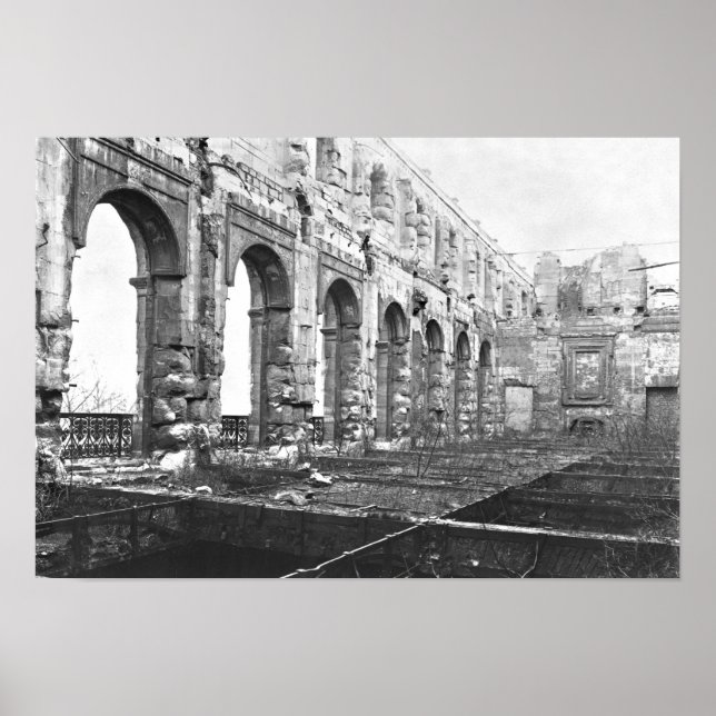 Póster Ruins of the Cour des Comptes (Frente)