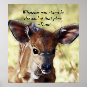 Póster Rumi dondequiera que usted se coloque