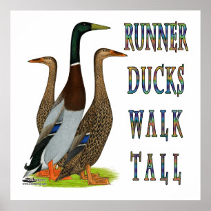Póster Runner Ducks Walk Tall