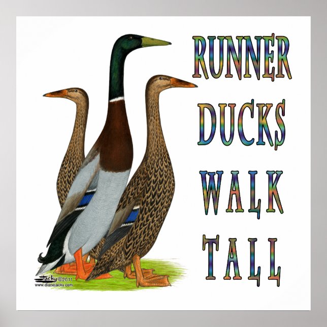 Póster Runner Ducks Walk Tall (Frente)