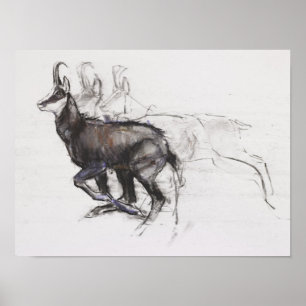 Póster Running Chamois