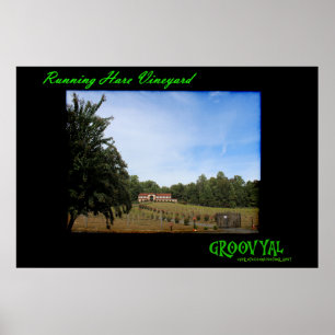 Póster Running Hare Vineyard