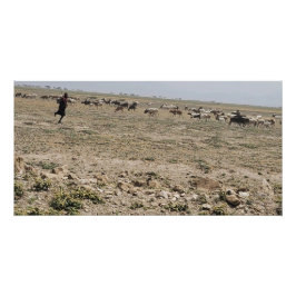 Póster Running the Serengeti