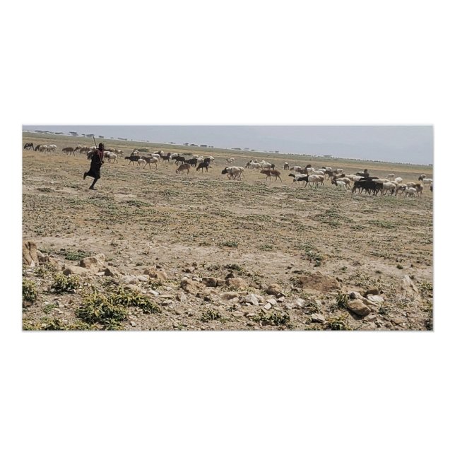 Póster Running the Serengeti (Anverso)