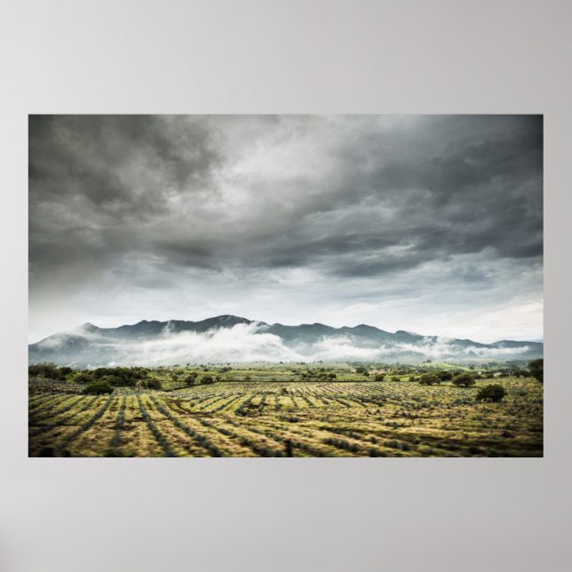 Póster Rural Crop Fields Under Cloudy Sky (Frente)