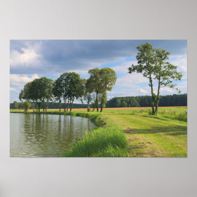 Póster Rural landscape with trees, water and cloudy sky (Frente)