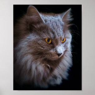 Póster Russian Blue Gray Nebelung Cat Wall Art Poster