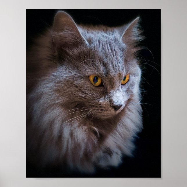 Póster Russian Blue Gray Nebelung Cat Wall Art Poster (Frente)