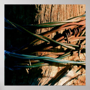 Póster Rust and Blue Barbed Wire