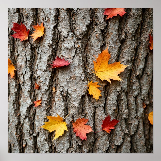 Póster Rustic Autumn Leaves Fall Colors Tree Bark (Frente)