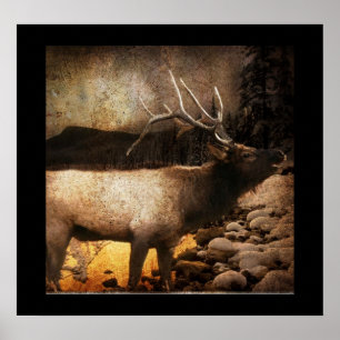 Póster Rustic cabin cottage forest mountain bull elk