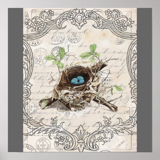 Póster rustic chic french country botanical bird nest (Frente)