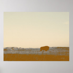 Póster Rustic Lone Buffalo Foto De Badlands