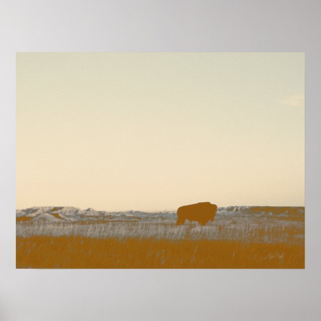 Póster Rustic Lone Buffalo Foto De Badlands (Frente)