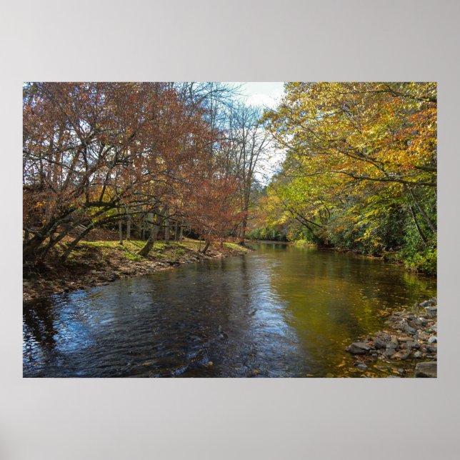 Póster Rustic River Stream Fall Leaves Nature Photography (Frente)