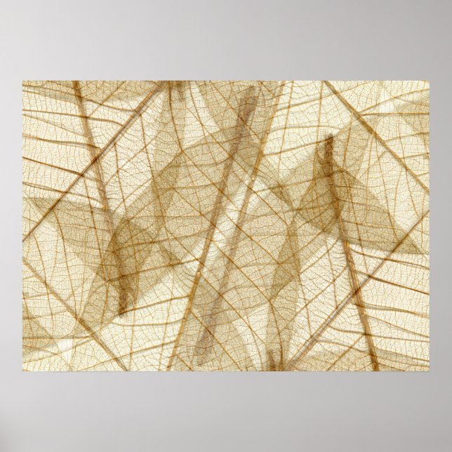 Póster Rustic Sheer Lace (Frente)