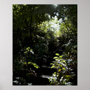Póster Rustic staircase/footpath in forest, sunlight