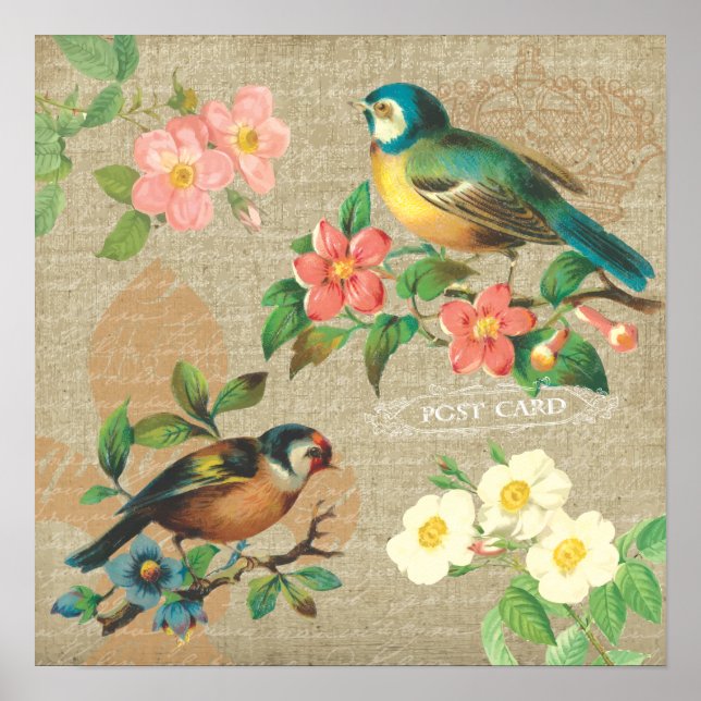 Póster Rustic Vintage Birds and Flowers Shabby Elegance (Frente)