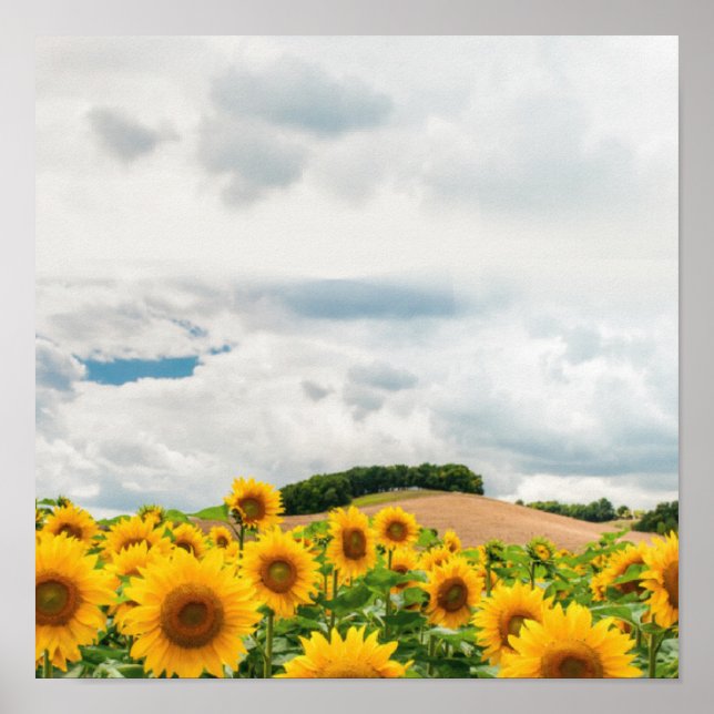 Póster Rústico amarillo girasol (Frente)