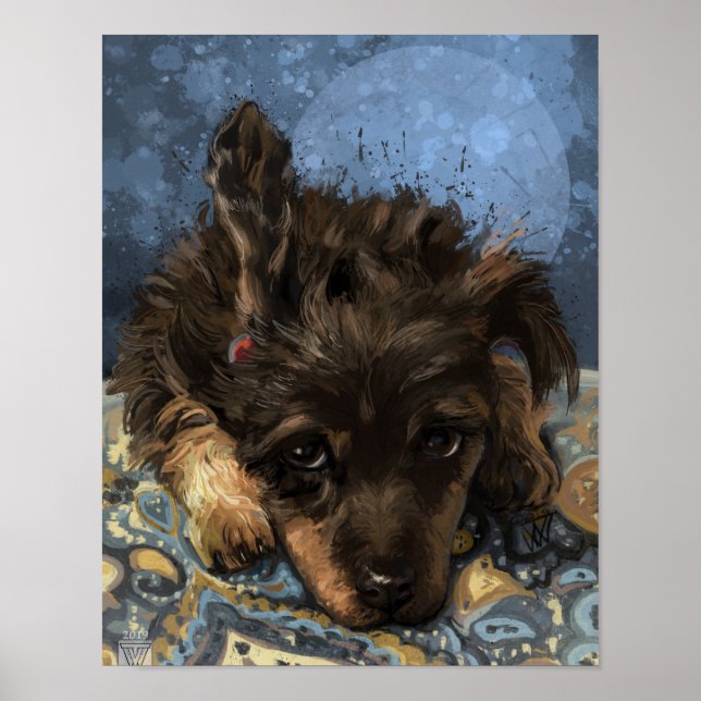Póster Rusty el Caniche (Frente)