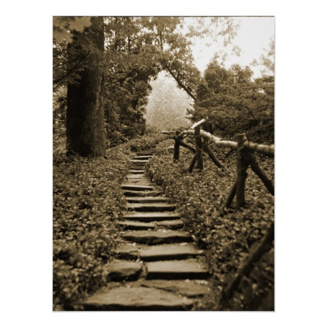 Póster Ruta a la luz (Anverso)