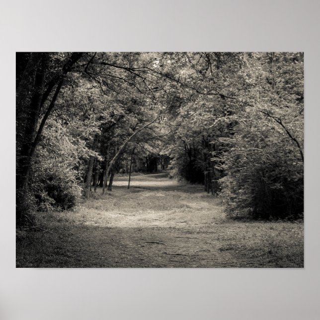 Póster Ruta a lo desconocido (Frente)