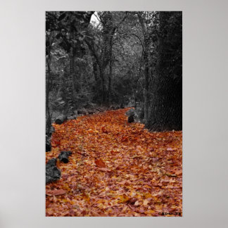 Póster Ruta coloreada