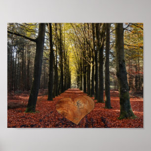 Póster ruta de acceso de la rama del árbol del bosque