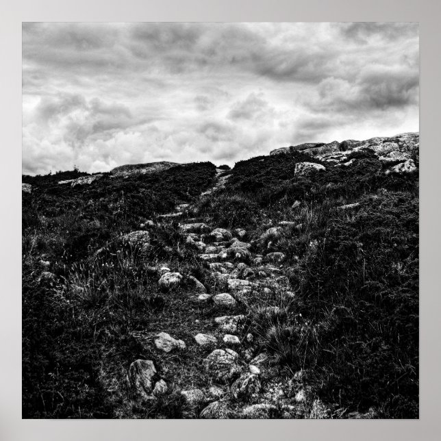 Póster Ruta de la piedra (Frente)