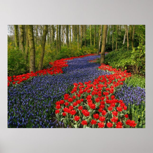 Póster Ruta de las flores azules (Frente)
