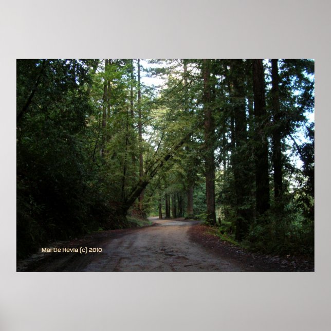Póster Ruta de las montañas Redwoods (Frente)