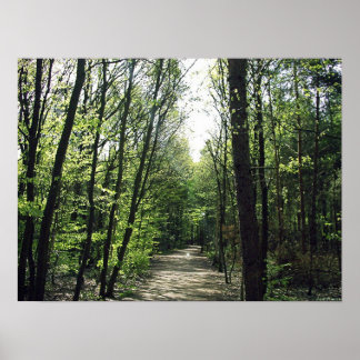 Póster Ruta de los bosques