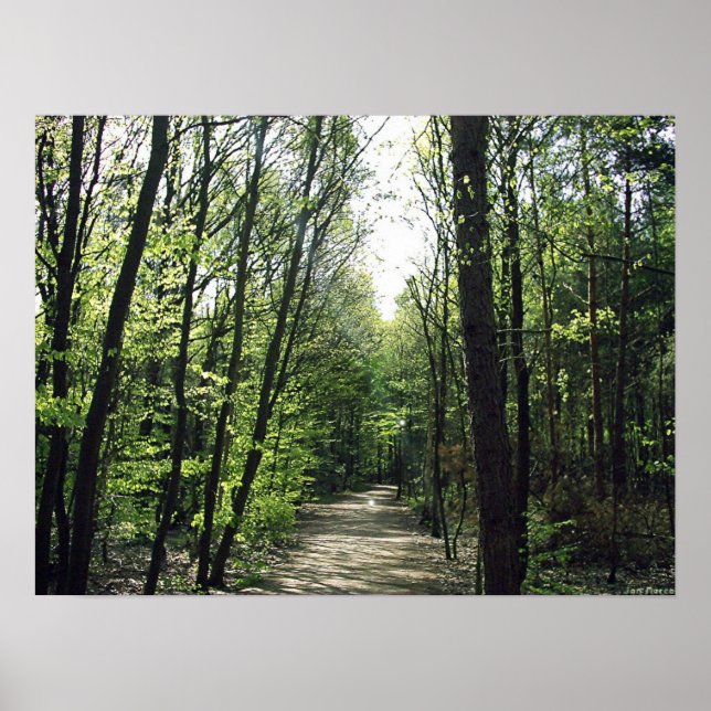 Póster Ruta de los bosques (Frente)