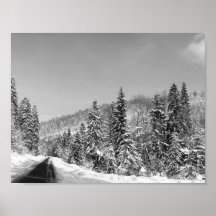 Ruta de los bosques de invierno