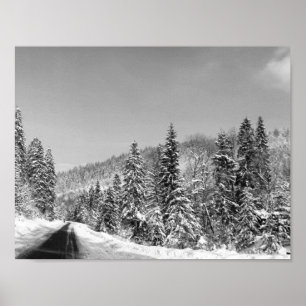 Póster Ruta de los bosques de invierno