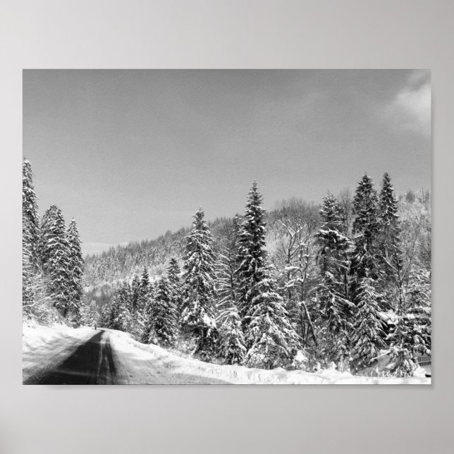 Póster Ruta de los bosques de invierno (Frente)