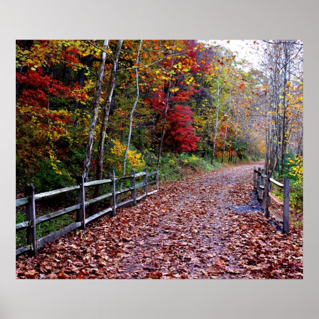 Póster Ruta de madera (Frente)